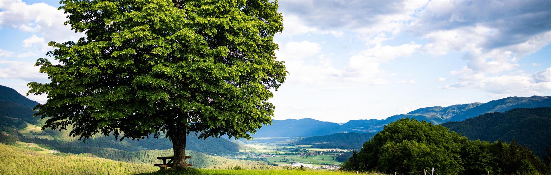 Ljubno ob Savinji