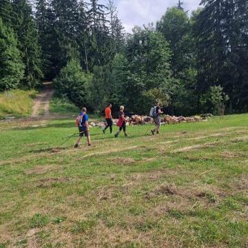 225866151_2742166039377692_2628126057448501366_n