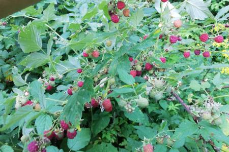 AIMG_20220724_191409