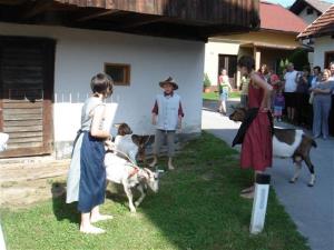 Savinja, zavod za razvoj podeželja in turizma