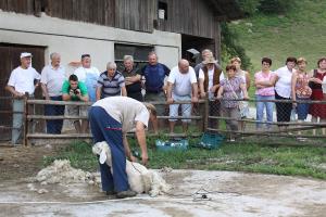 Ovčerejsko društvo Raduha