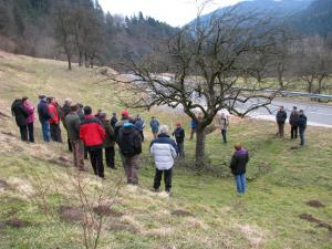 Številčna udeležba na prikazu spomladanske rezi