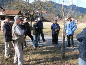 Številčna udeležba na prikazu spomladanske rezi