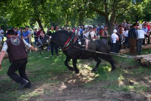 Z Modrijani uspešno zaključili 56. Flosarski bal