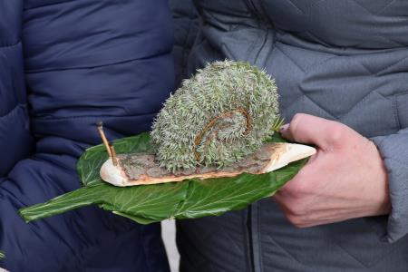 foto: Franjo Atelšek